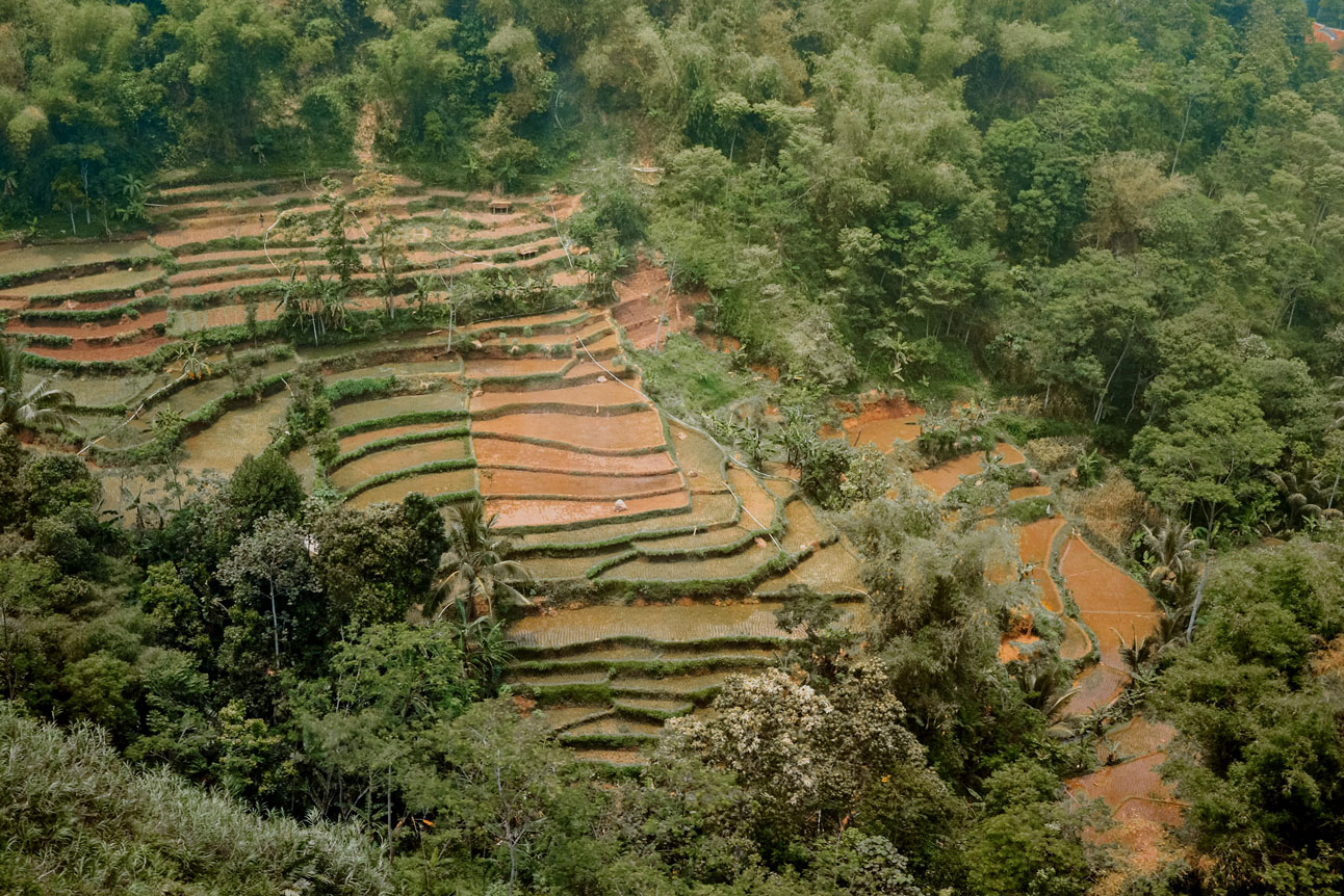 Mountain agriculture development in Asia